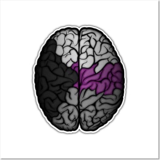 Large Demisexual Pride Flag Colored Brain Vector Posters and Art